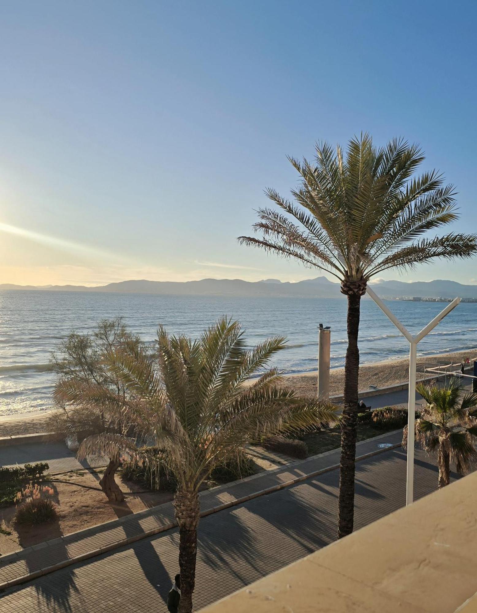 Q-Royal Hotel Playa de Palma  Exterior photo